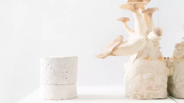 Amén y sus velas (una historia sobre cómo los seres encuentran la luz cada día)