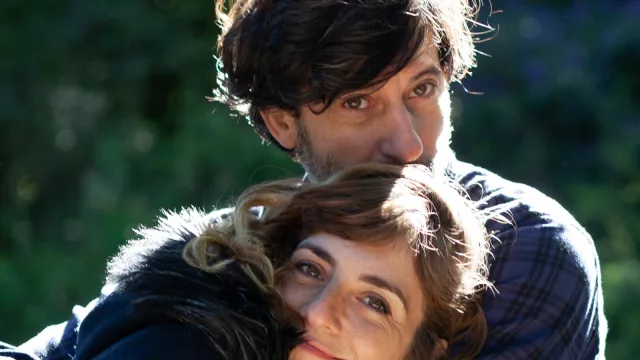 Un pájaro azul: El castillo de naipes de la vida