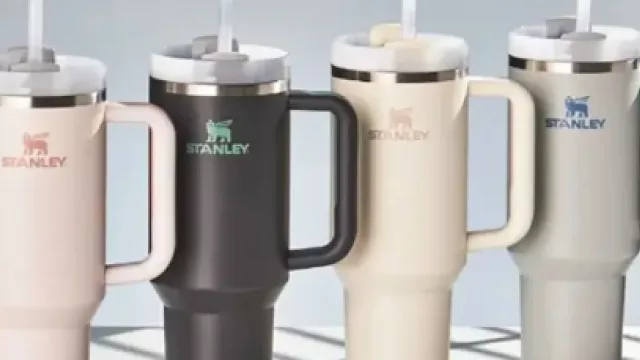 El misterio del vaso Stanley: un fenómeno viral en TikTok