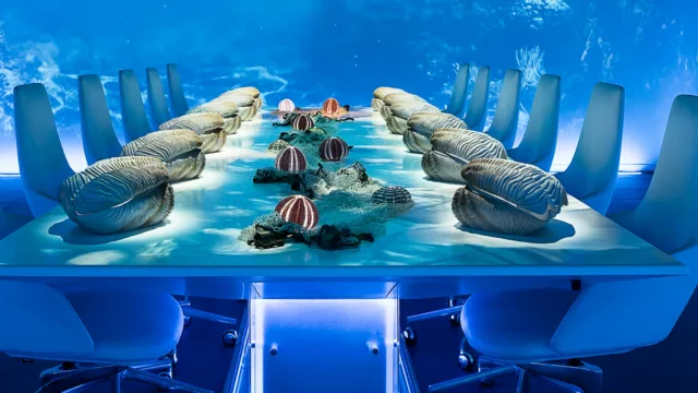 Los 5 restaurantes más caros del mundo: una aventura culinaria de lujo