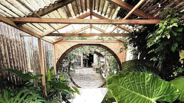 Entre lo natural y orgánico, llega a Carrasco una propuesta gastronómica saludable (Higuera Mostrador abrirá sus puertas en 9 días)