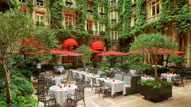 Nuestra experiencia en el renovado Hotel Plaza Athénée: el lujo del pasado, presente y futuro