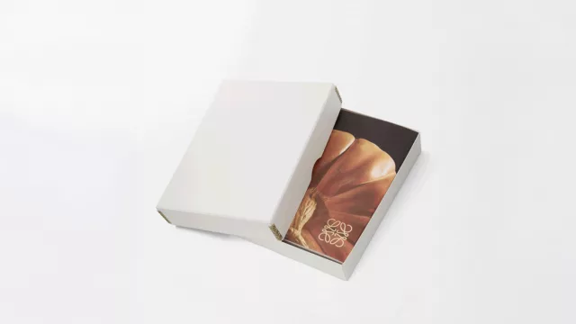 Crafted World: el libro que celebra una década de Jonathan Anderson en LOEWE