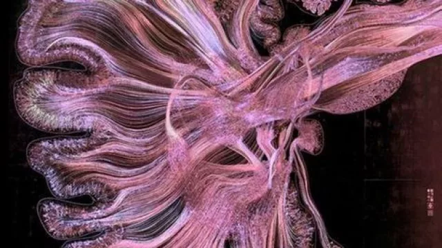 Neurociencia aplicada: cómo el ejercicio transforma tu cerebro y tu bienestar