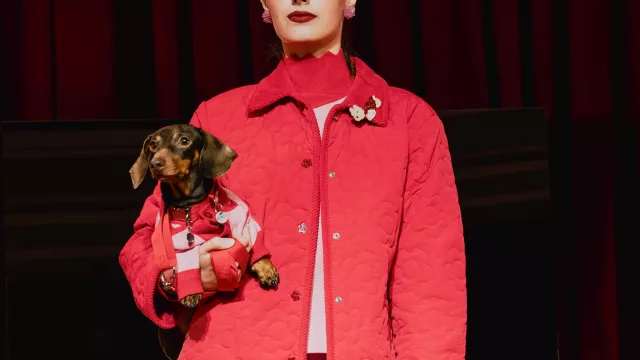 Las Pepas presentó su línea Guau, con unos modelos de cuatro patas que se llevaron todas las miradas