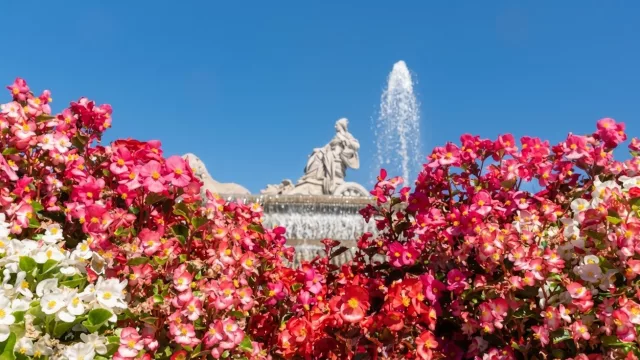 La Feria del Libro de Madrid 2026: el plan cultural más elegante de la primavera española